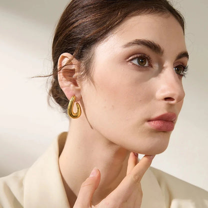 Zara Hook Earrings