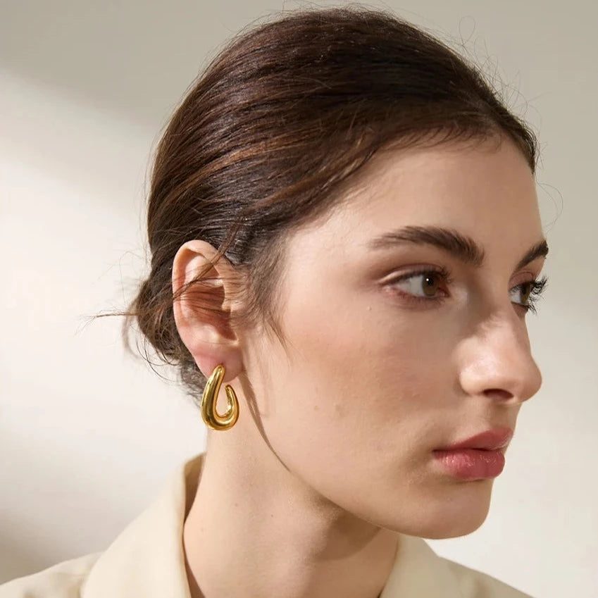 Zara Hook Earrings